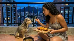 El snack casero que sí: cómo darle camote a tu perro sin desbalancear su dieta