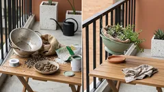 Convierte un colador viejo en matera: el truco de drenaje que tu balcón agradece