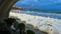 Espuma blanca en la orilla: por qué aparece y qué señales conviene observar